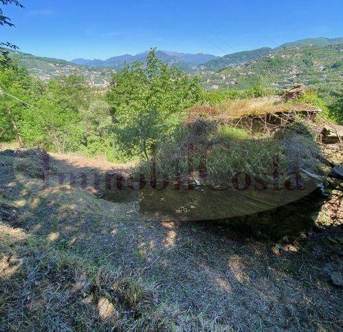 casa indipendente in vendita a Cogorno in zona San Salvatore