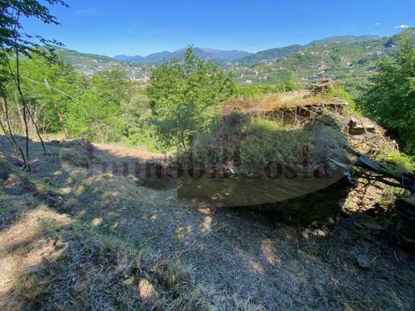 pentavano in vendita a Cogorno in zona San Salvatore