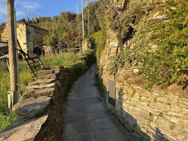 casa indipendente in vendita a Cogorno