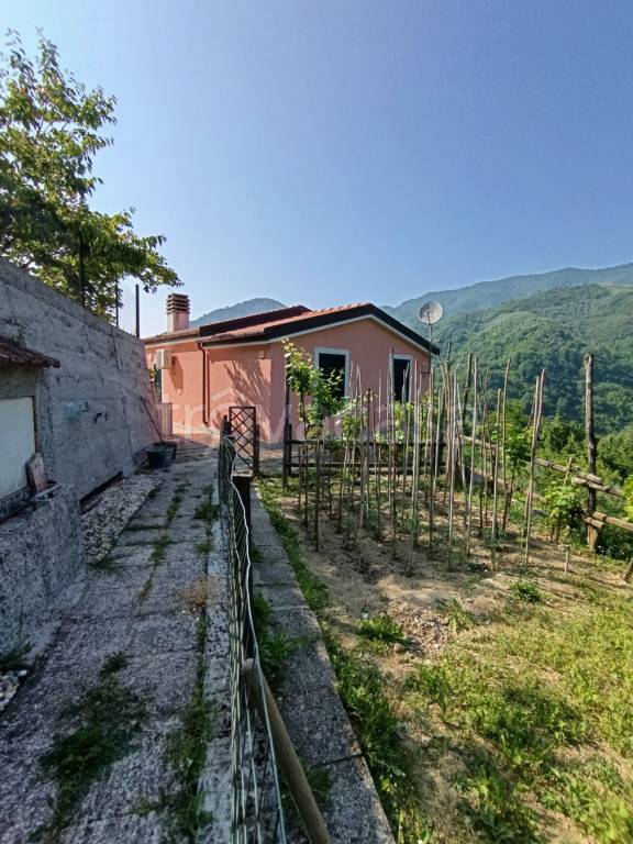 casa indipendente in vendita a Cogorno