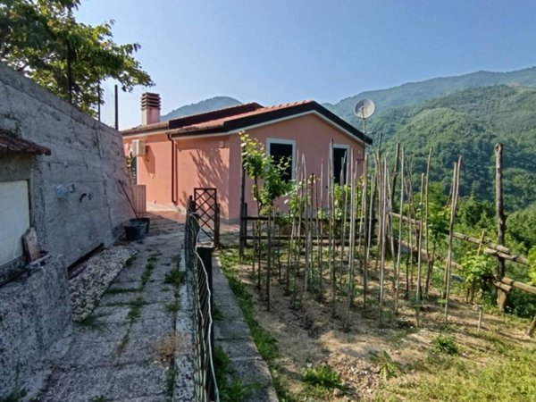 casa indipendente in vendita a Cogorno