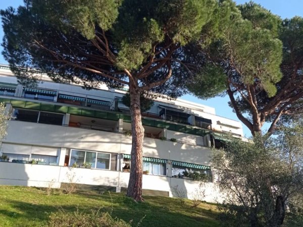 appartamento in vendita a Cogorno in zona San Salvatore