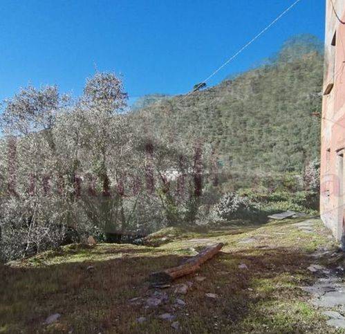 casa indipendente in vendita a Cogorno