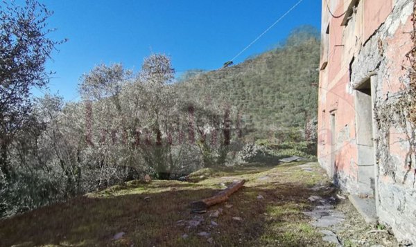 appartamento in vendita a Cogorno