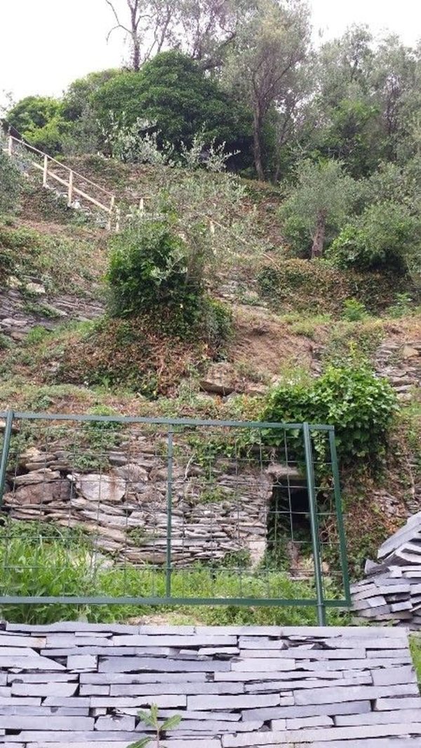 esavano in vendita a Cogorno in zona Breccanecca