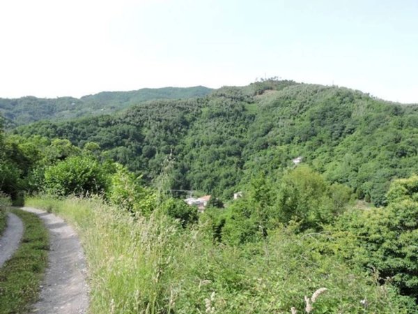 casa indipendente in vendita a Cogorno