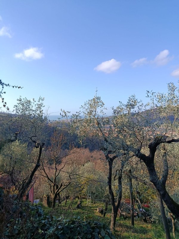 appartamento in vendita a Cogorno