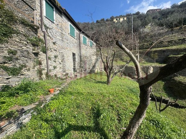 quadrivano in vendita a Cogorno