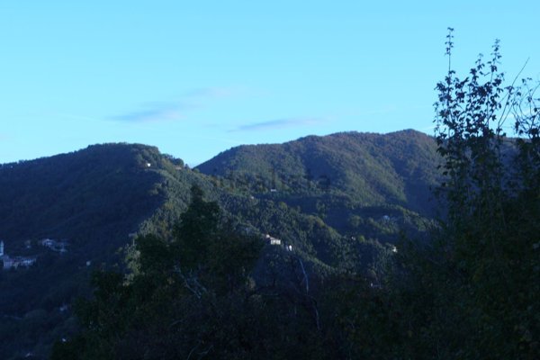 appartamento in vendita a Cogorno