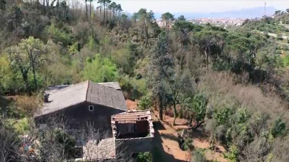 casa indipendente in vendita a Cogorno