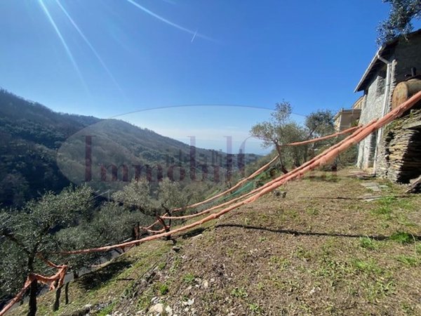 casa indipendente in vendita a Cogorno in zona Chiappe