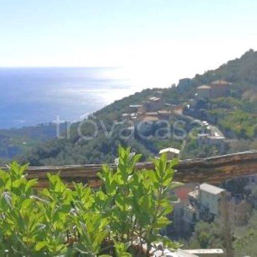 casa indipendente in vendita a Cogorno in zona Chiappe