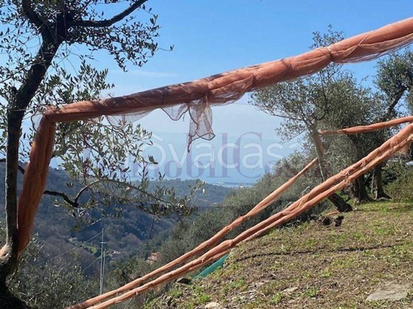 appartamento in vendita a Cogorno in zona Chiappe