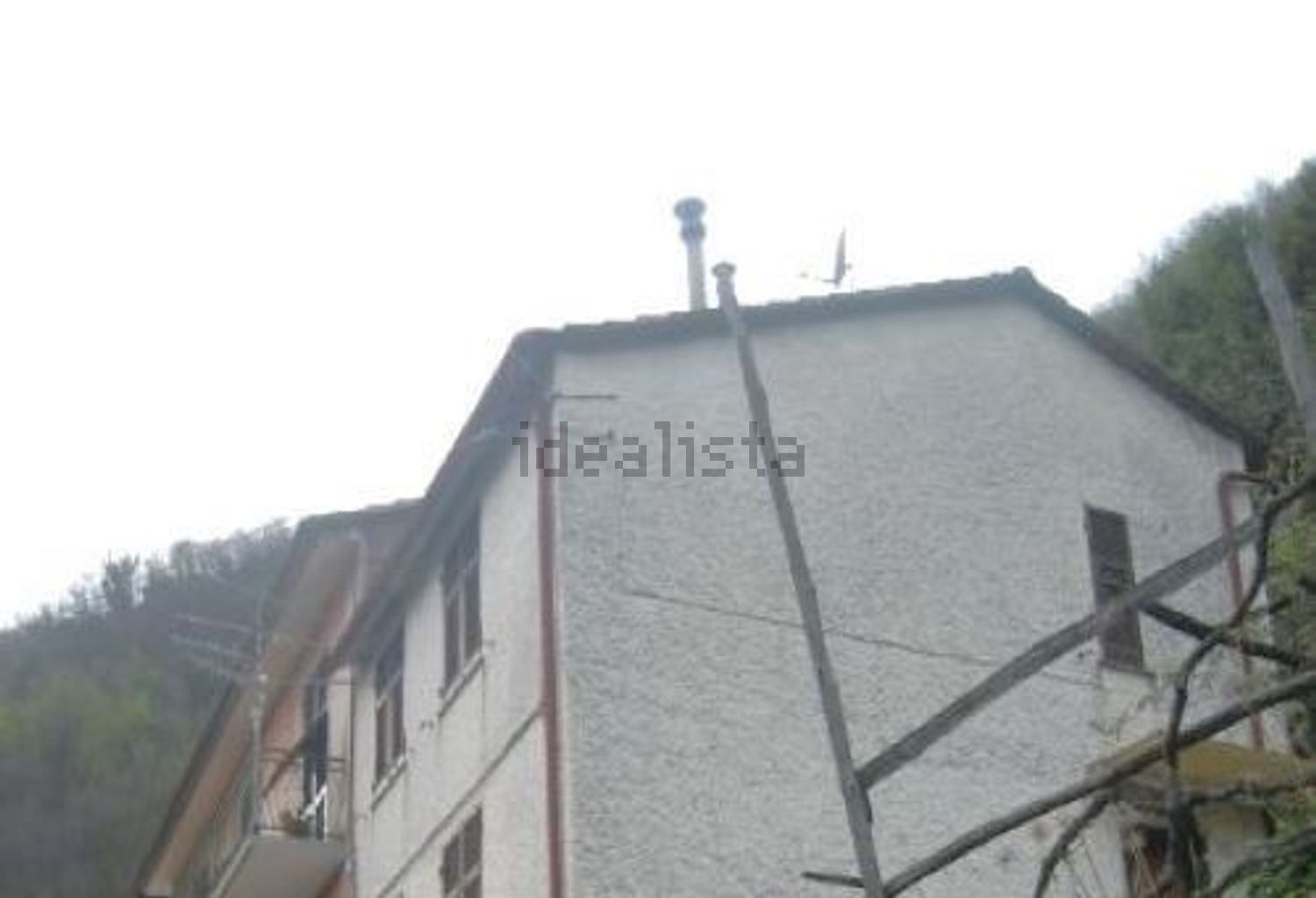 esavano in vendita a Coreglia Ligure