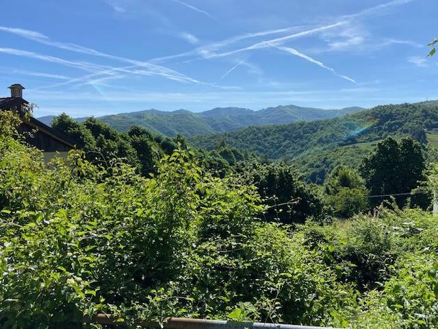 appartamento in vendita a Crocefieschi