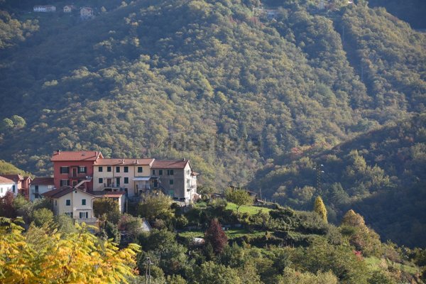 appartamento in vendita a Davagna