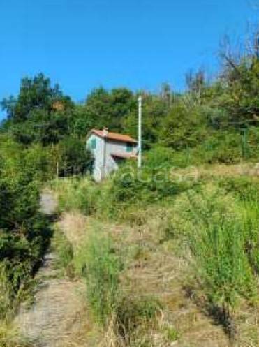 appartamento in vendita a Davagna