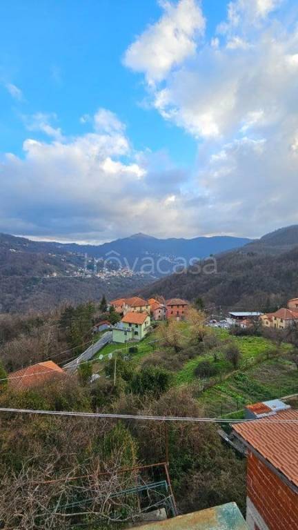 casa indipendente in vendita a Davagna