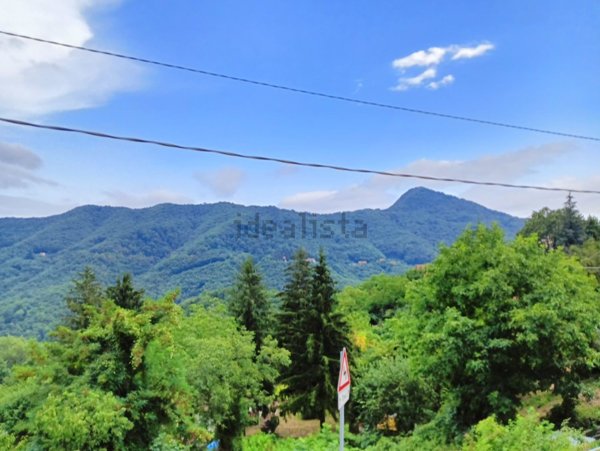 appartamento in vendita a Davagna