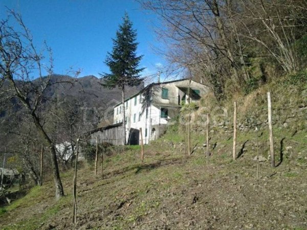 casa semindipendente in vendita a Favale di Malvaro