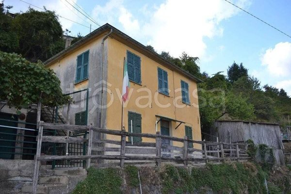 casa indipendente in vendita a Favale di Malvaro in zona Monteghirfo