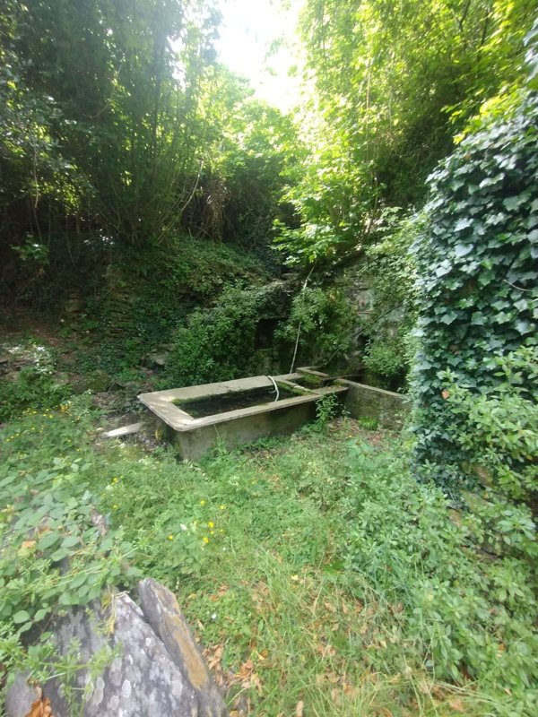 casa indipendente in vendita a Favale di Malvaro