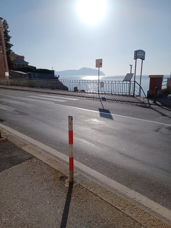 negozio in vendita a Genova in zona Nervi