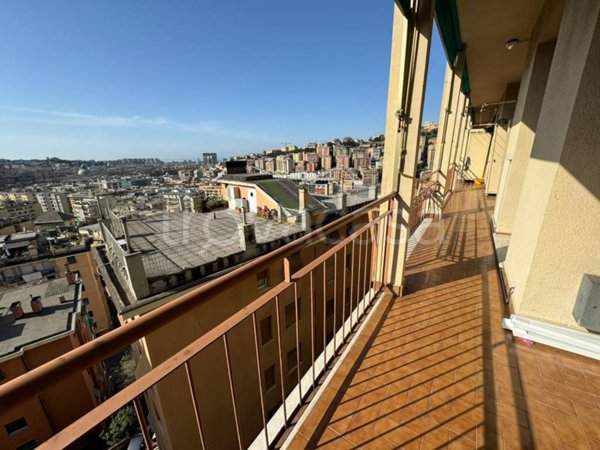 appartamento in vendita a Genova in zona Marassi