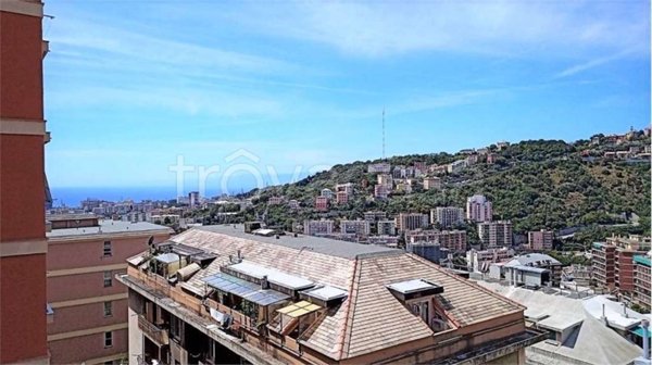 appartamento in vendita a Genova in zona Lagaccio / Granarolo