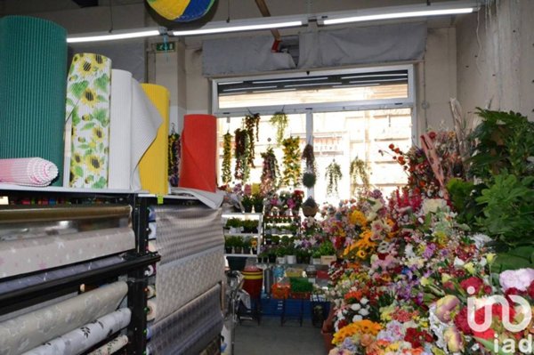 appartamento in vendita a Genova in zona Sampierdarena