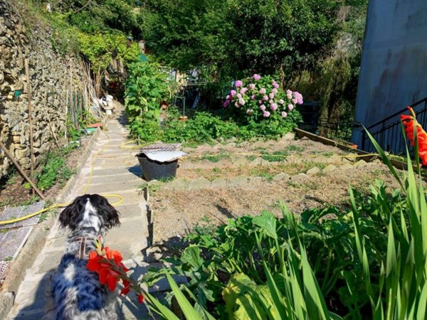 appartamento in vendita a Genova in zona San Fruttuoso