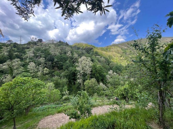 terreno agricolo in vendita a Genova in zona Sestri Ponente