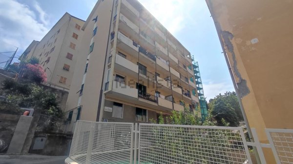 appartamento in vendita a Genova in zona Borzoli