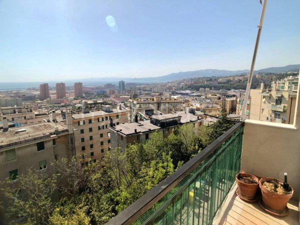 appartamento in vendita a Genova in zona Sampierdarena