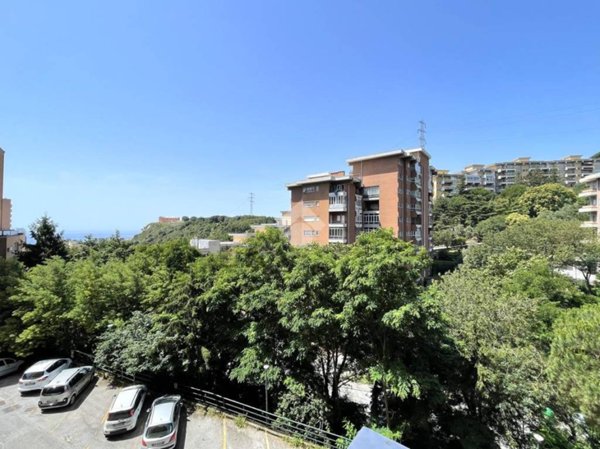 appartamento in vendita a Genova in zona Lagaccio / Granarolo