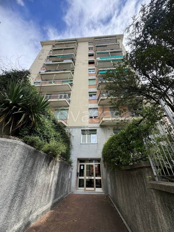 appartamento in vendita a Genova in zona Sampierdarena
