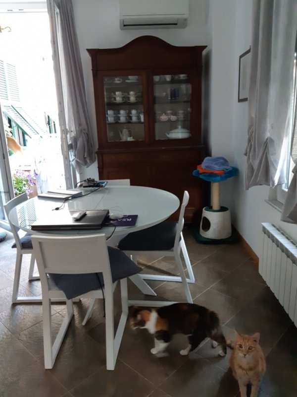 appartamento in vendita a Genova in zona DiNegro