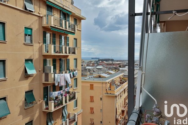 immagine annuncio 0 di 15