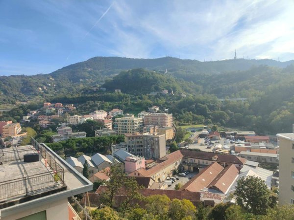 appartamento in vendita a Genova in zona Rivarolo