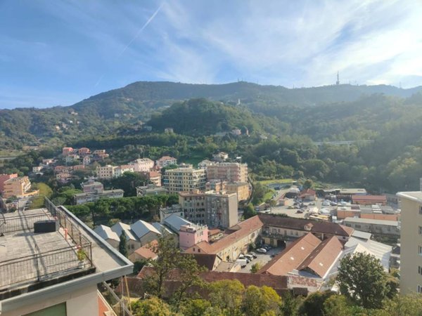 appartamento in vendita a Genova in zona Rivarolo