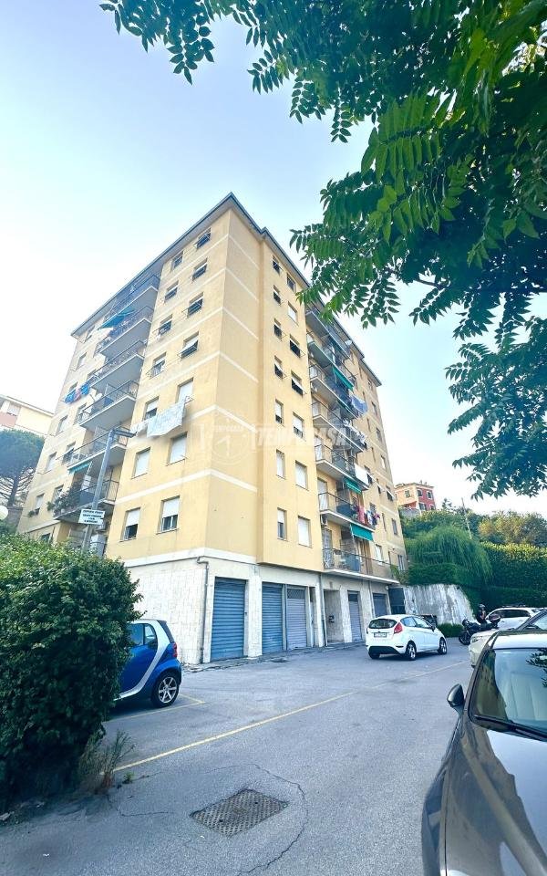 appartamento in vendita a Genova in zona Sampierdarena
