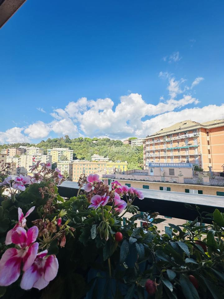appartamento in vendita a Genova in zona Sampierdarena
