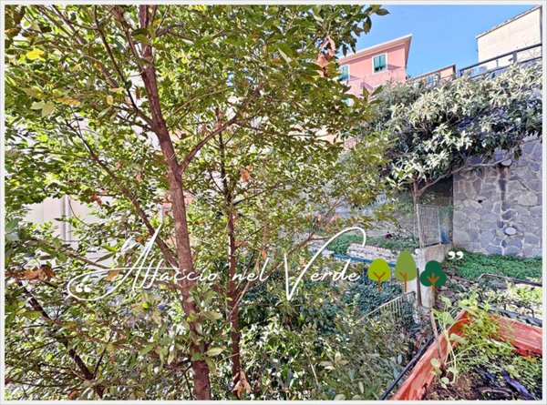 immagine annuncio 0 di 15