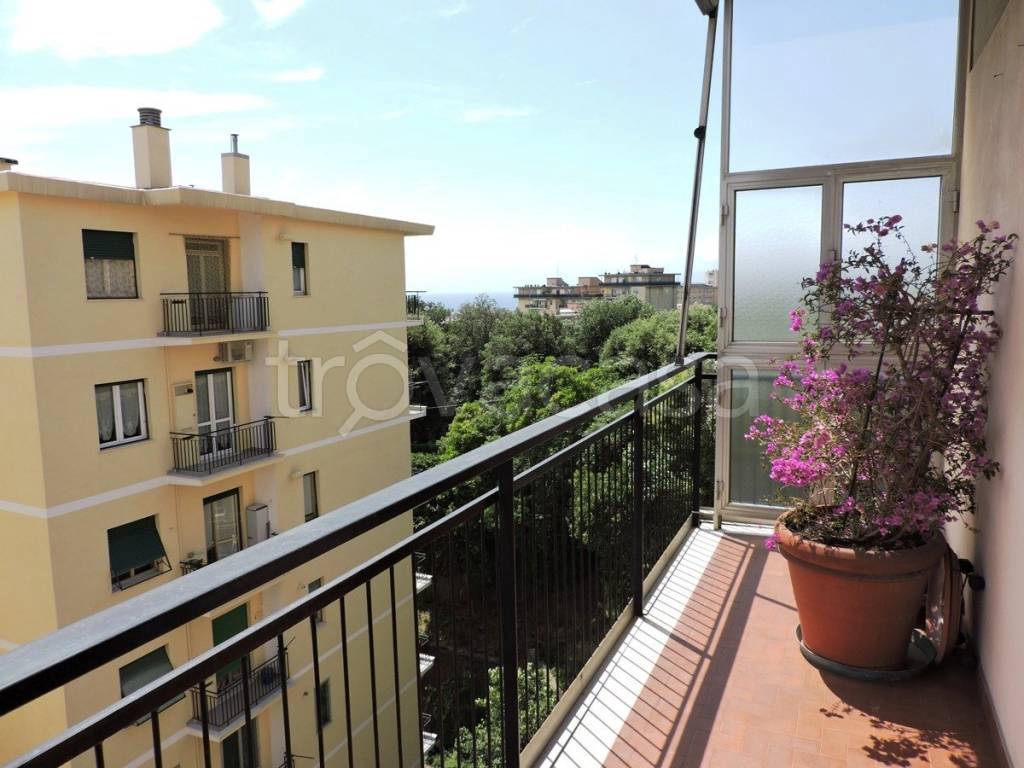 appartamento in vendita a Genova in zona Sampierdarena