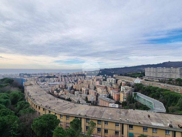 appartamento in vendita a Genova in zona Marassi
