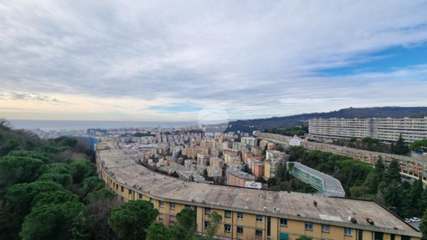 appartamento in vendita a Genova in zona Marassi