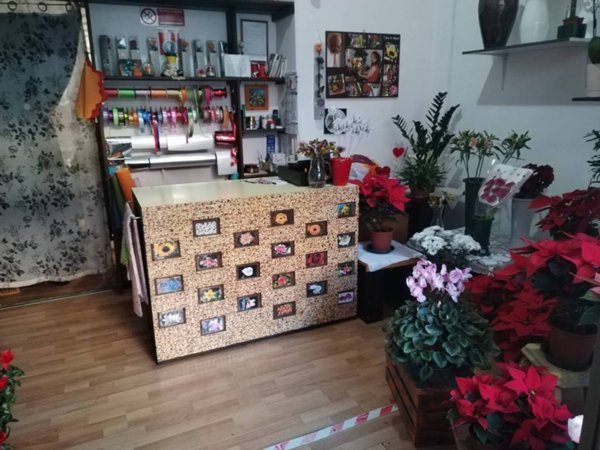 negozio in vendita a Genova in zona Palmaro / Pra'