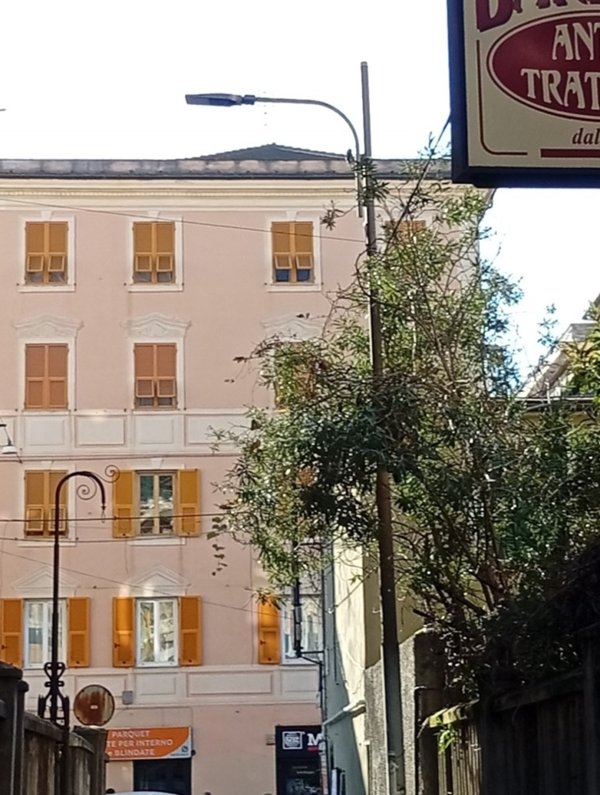 trivano in vendita a Genova in zona Sestri Ponente
