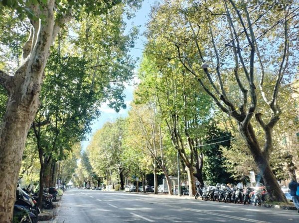 appartamento in vendita a Genova in zona Foce
