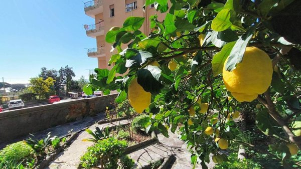 appartamento in vendita a Genova in zona Multedo